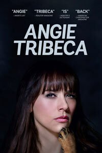 Release Date of «Angie Tribeca» TV Series