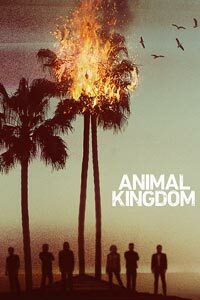 Release Date of «Animal Kingdom» TV Series