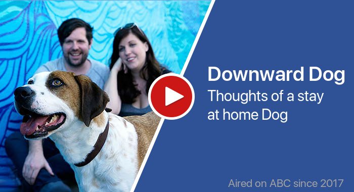 Downward Dog трейлер